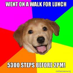 Advice Dog