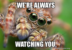 Hipster Spider