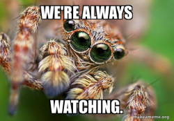 Hipster Spider