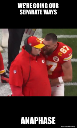 Travis Kelce and Coach