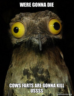 Weird Stuff I do Potoo