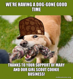 Scumbag dog