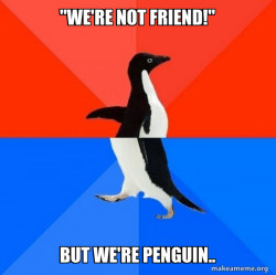 Socially Awesome Awkward Penguin