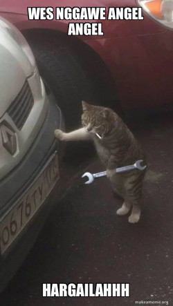 Mechanic Cat