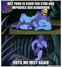 Skeletor Facts