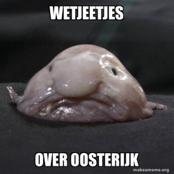 Blobfish