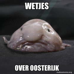 Blobfish