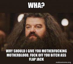 Hagrid - I should not have said that