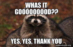 Evil Plotting Raccoon