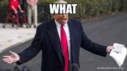 Trump - Impeachment Quid Pro Quo