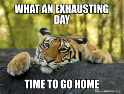Confession Tiger