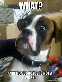 Skeptical Dog