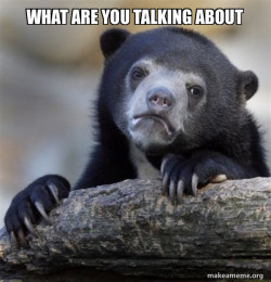 Confession Bear
