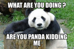 Confession Panda