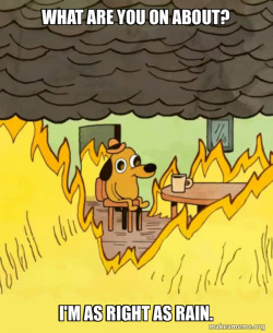 This Is Fine