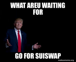 Trump Everything is FIne