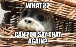 Impending Doom Seal