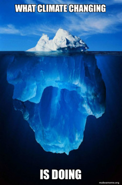 Iceberg