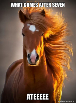 Ridiculously photogenic horse