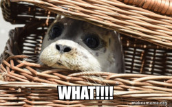 Impending Doom Seal