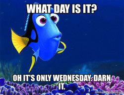 Dory from Nemo  (5 second memory)