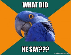 Paranoid Parrot