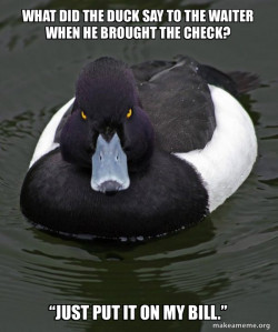 Revenge Duck ( Angry Advice Duck )