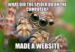 Hipster Spider