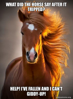 Ridiculously photogenic horse