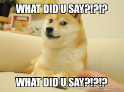 Doge