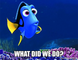 Dory from Nemo  (5 second memory)