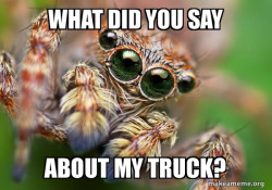 Hipster Spider