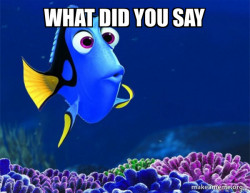 Dory from Nemo  (5 second memory)