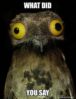 Weird Stuff I do Potoo