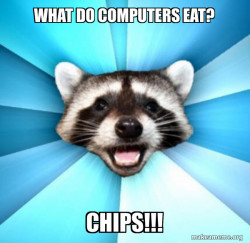 Lame Pun Coon
