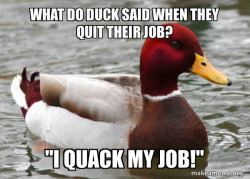 Malicious Advice Mallard
