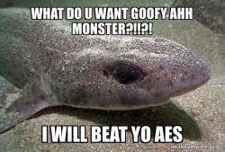 Dirty Joke Dogfish