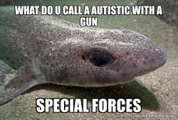 Dirty Joke Dogfish