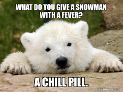Popular Opinion Bear