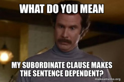 Ron Burgundy I am not even mad or That's amazing (Anchorman)