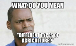Confused Black Man