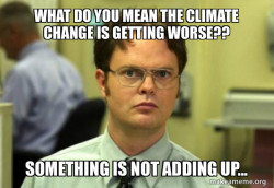 Schrute Facts (Dwight Schrute from The Office)