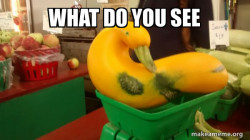 Gourd Advice Mallard