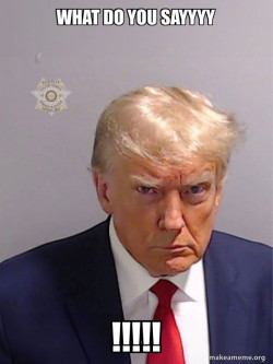 Donald Trump Mugshot
