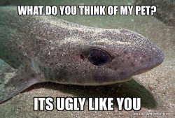 Dirty Joke Dogfish