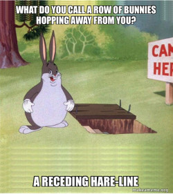 Big Chungus