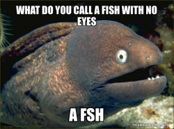 Bad Joke Eel