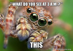 Hipster Spider