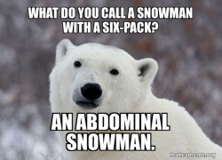 Popular Opinion Polar Bear