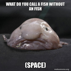 Blobfish